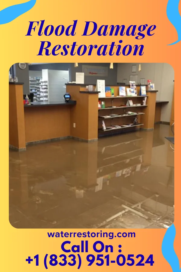 Flood Damage Restoration in Bradford, IL
